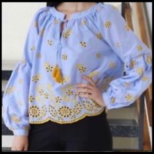Zara Peasant blouse with gold embroidery